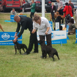 Chiara - V2, Res.CAC