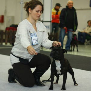 Chiara CM: Výborná 2, Res.CAC
