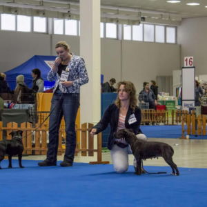 Chiara - V2, Res.CAC