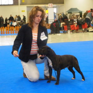 Chiara - V2, Res.CAC