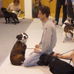 Cornelius: Výborný