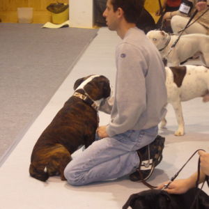 Cornelius: Výborný