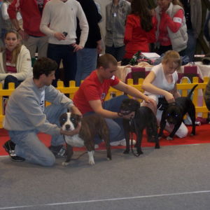 Cornelius: Výborný