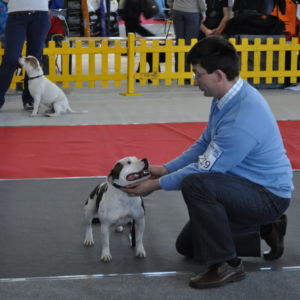 Dorka: veľmi dobrý