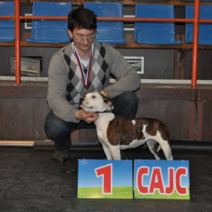 V1, CAJC a YOUNG EAST WINNER