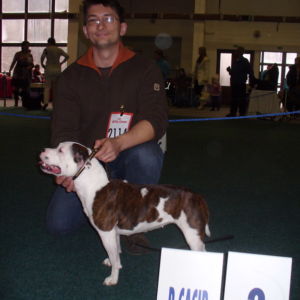 Dorka: Výborná 2, Res.CAC, Res.CACIB