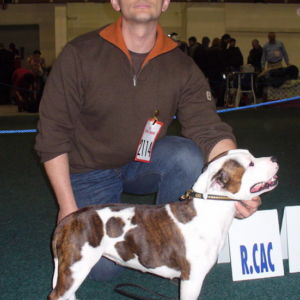 Dorka: Výborná 2, Res.CAC, Res.CACIB