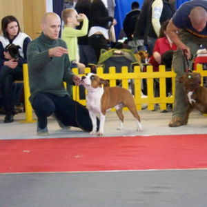 Edward CM: veľmi dobrý