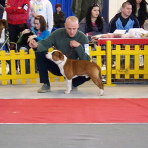 Edward CM: veľmi dobrý