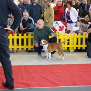 Edward CM: veľmi dobrý