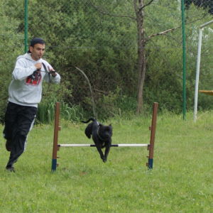 Elegancia je základ