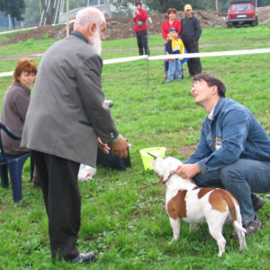 výborný 1, Víťaz triedy, Oblastný víťaz