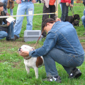 výborný 1, Víťaz triedy, Oblastný víťaz