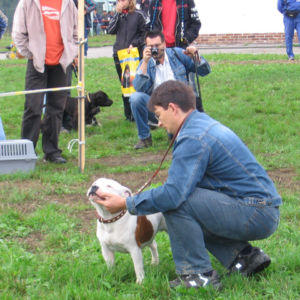 výborný 1, Víťaz triedy, Oblastný víťaz