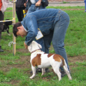 výborný 1, Víťaz triedy, Oblastný víťaz