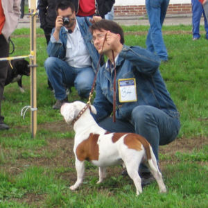 výborný 1, Víťaz triedy, Oblastný víťaz