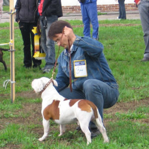 výborný 1, Víťaz triedy, Oblastný víťaz