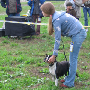 výborný 1, Víťaz triedy, Oblastný víťaz