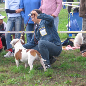 výborný 1, Víťaz triedy, Oblastný víťaz