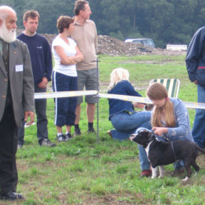výborný 1, Víťaz triedy, Oblastný víťaz