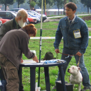 výborný 1, Víťaz triedy, Oblastný víťaz