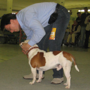 výborný 2, Res.CAC