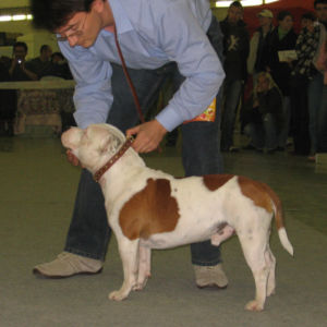 výborný 2, Res.CAC