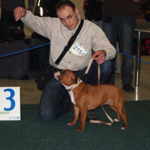 Isha CM - Výborná 3