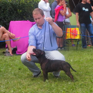 Java CM: V2, Res.CAC