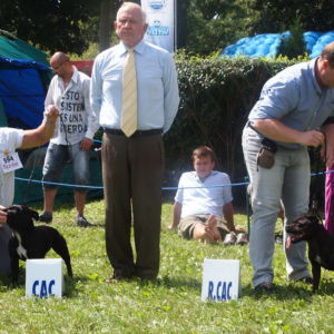 Java CM: V2, Res.CAC