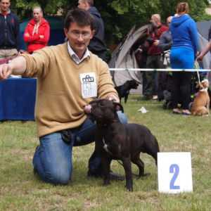 Jax CM: V 2, Res.CAC