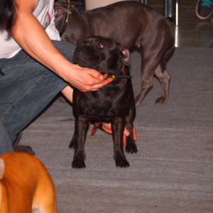 Jetta CM: Výborná 2