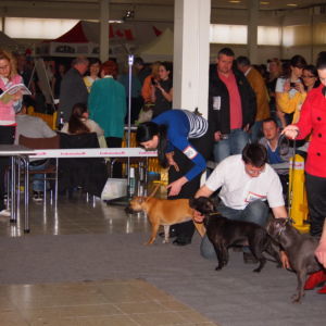 Jetta CM: Výborná 2