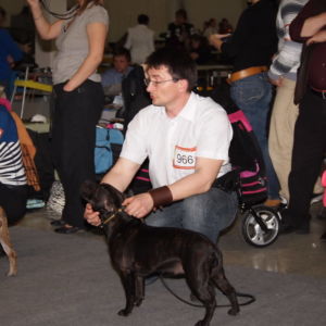 Jetta CM: Výborná 2