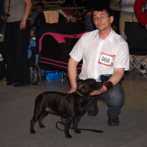 Jetta CM: Výborná 2