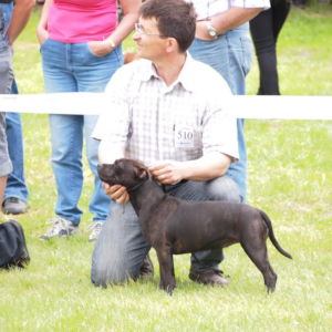 Jetta CM: Výborná 2