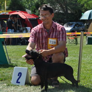 Jetta CM: Výborná 2