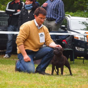 Jetta CM: V 2, Res.CAC