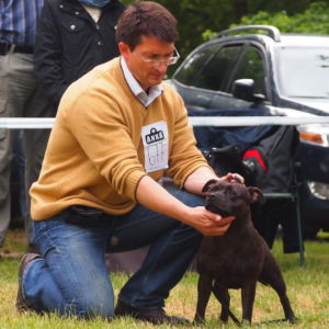 Jetta CM: V 2, Res.CAC