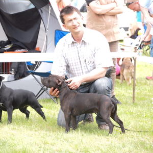 Jetta CM: Výborná 2