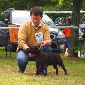 Jetta CM: V 2, Res.CAC