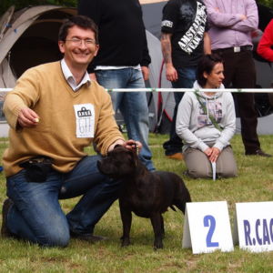 Jetta CM: V 2, Res.CAC