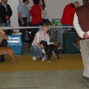 Výborný 1, Klubový	víťaz	mladých 2008