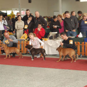 Výborný 1, Klubový	víťaz	mladých 2008