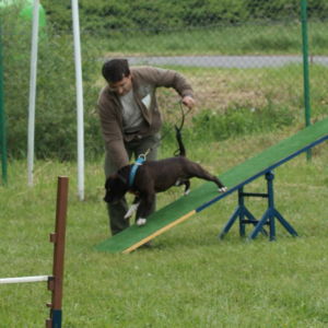 Bastien CM: lavička