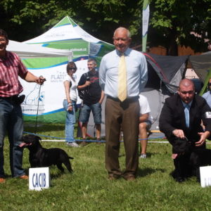 Lian CM: V1, CAC, CACIB