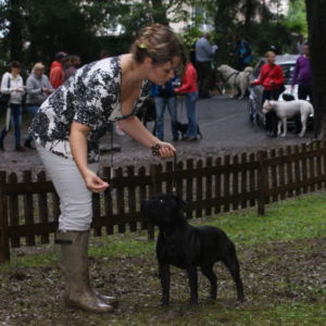 Lian CM: V1, CAC, CACIB