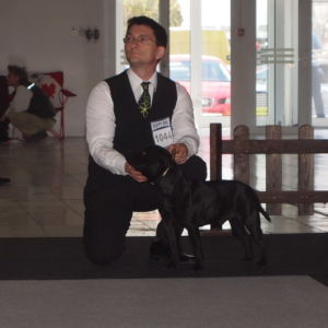 Lian CM: V1, CAC, Res.CACIB