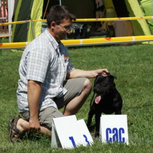 Lian CM: V1, CAC, Res.CACIB