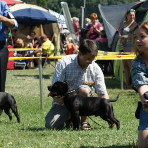 Lian CM: V1, CAC, Res.CACIB